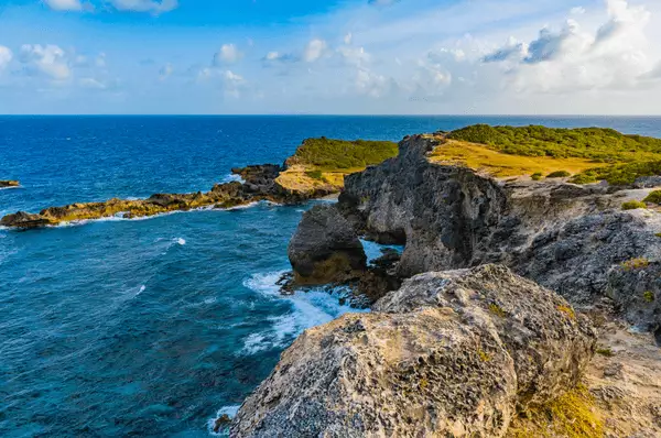 Erleben Sie bei einem Urlaub auf Guadeloupe die einzigartige Flora und Fauna.