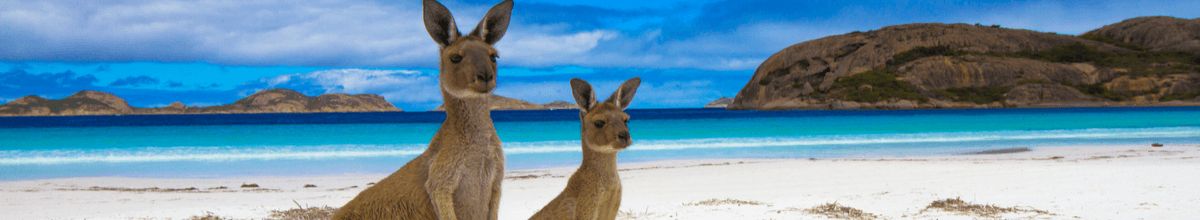Lucky Bay im Cape Le Grand Nationalpark in Australien