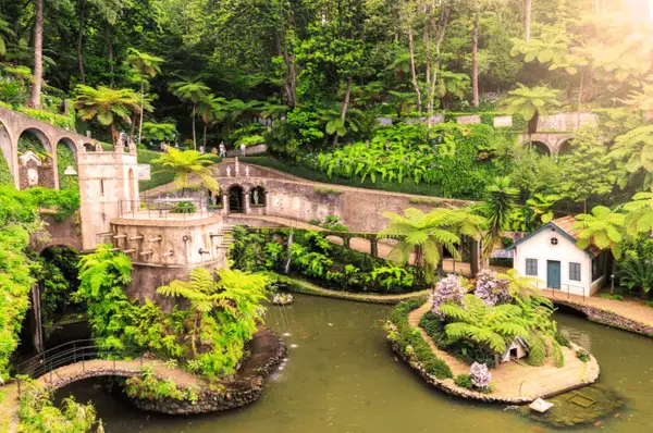 Botanischer Garten Monte Palace Tropican Garden mit unterschiedlichen grünen Pflanzen und Brücken in Funchal