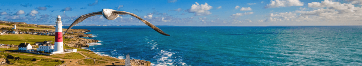 Luftbild des Portland Bill Light House mit einer Möve, die in Richtung Kamera fliegt