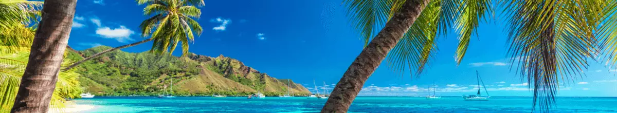 Palmen am tropischen Strand mit blauem Meer auf der Insel Tahiti bei strahlendem Sonnenschein und Sandstrand im Hintergrund