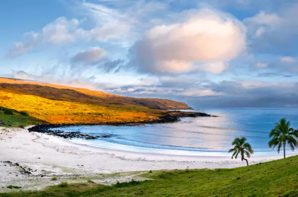 Anakena-Bucht mit weißen Sandstrand und zwei Palmen mit blauem Meer an an der Nordspitze von Rapa Nui, Osterinsel