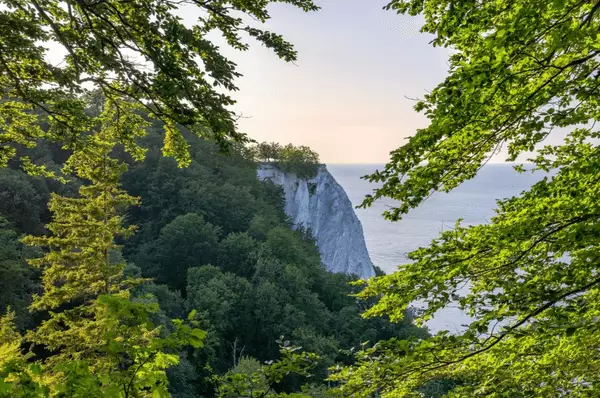 Der Königsstuhl - Kreidekliff umrahmt von Buchenzweigen im Jasmund Nationalpark auf der Ostseeinsel Rügen