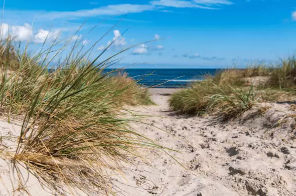 Weg zum Ostseestrand über sandige Dünen auf der Insel Rügen