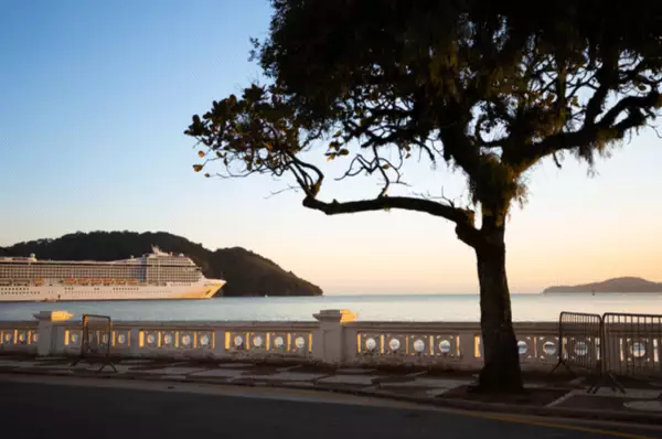 Ein Kreuzfahrtschiff verlässt bei Sonnenuntergang den Hafen von Santos mit einem Baum im Vordergrund.