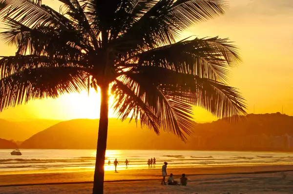 Goldener Sonnenuntergang am Strand der Stadt Santos mit einer großen Palme und Menschen, die am Strand liegen in Brasilien
