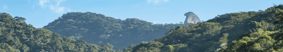 Die Felsspitze Pico de Papagaio auf der Ilha Grande hat die Form eines Papageienkopfs.