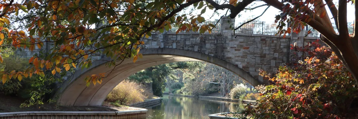Norfolk Botanical Garden – Romantische Steinbrücke und Wasserwege im botanischen Garten Idyllische Steinbrücke über einen schiffbaren Kanal im Norfolk Botanical Garden während der herbstlichen Laubfärbung für Landausflüge in Virginia.