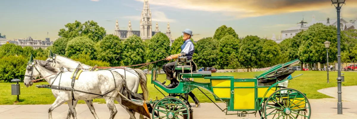 Ein traditioneller Wiener Fiaker mit zwei weißen Pferden und einem Kutscher im typischen grün-gelben Wagen vor dem Rathauspark und dem neugotischen Wiener Rathaus im Abendlicht.