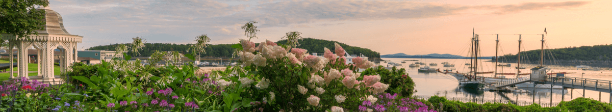 Sommerliche Blumen vor dem Panorama des Hafens von Bar Harbor