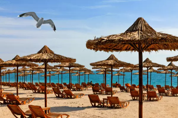 Traumstrand mit zahlreichen Sonnenliegen und einer Möwe auf der Insel Sir Bani Yas