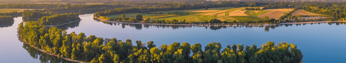 Der Rhein bei Otterstadt.