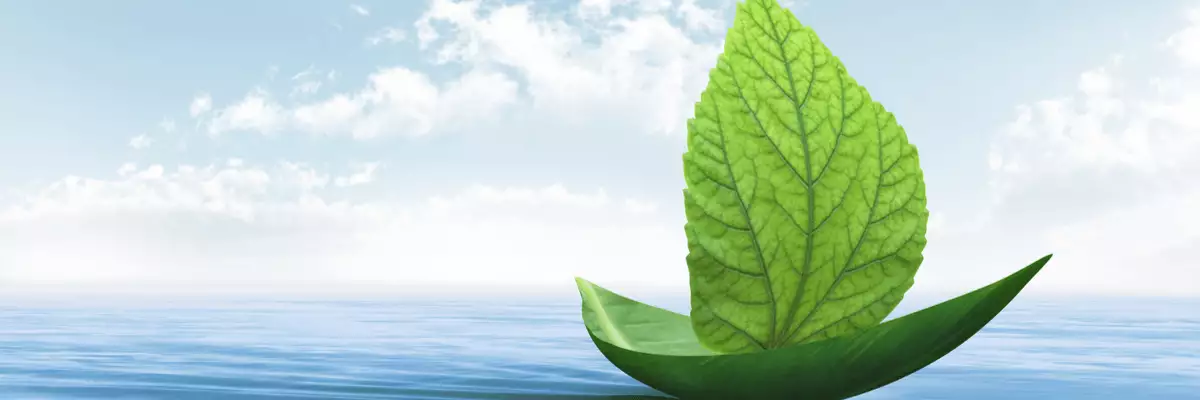 Grüne Kreuzfahrten mit AIDAcosma