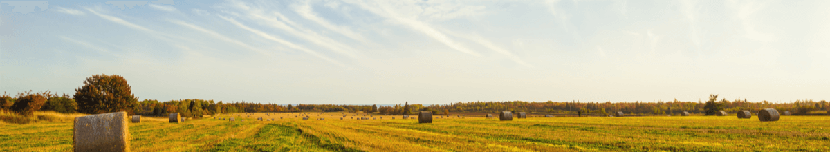 Heuballen auf einem Feld auf Prince Edward Island
