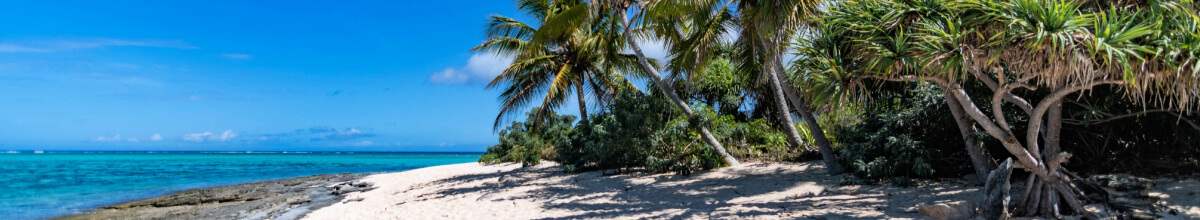 Strand auf Mystery Island mit Dschungel, Vanuatu
