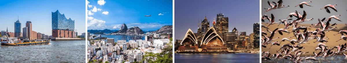 4-teiliges Bild: Elbphilharmonie im Hamburger Hafen, Zuckerhut in Rio de Janeiro, Opernhaus in Sydney, Flamingo-Schwarm in Walvis Bay