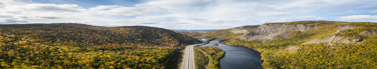 Eine Panorama Aussicht, welche einen Fluss, eine Straße und viele Bäume beinhaltet