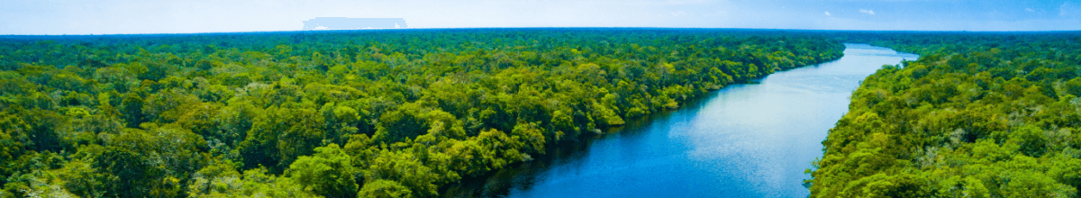Manaus Die Stadt und ihre Natur