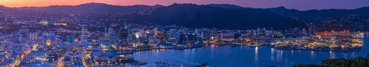 Im Abendlicht erstrahlen die Lichter der Stadt Wellington aus Panoramaansicht