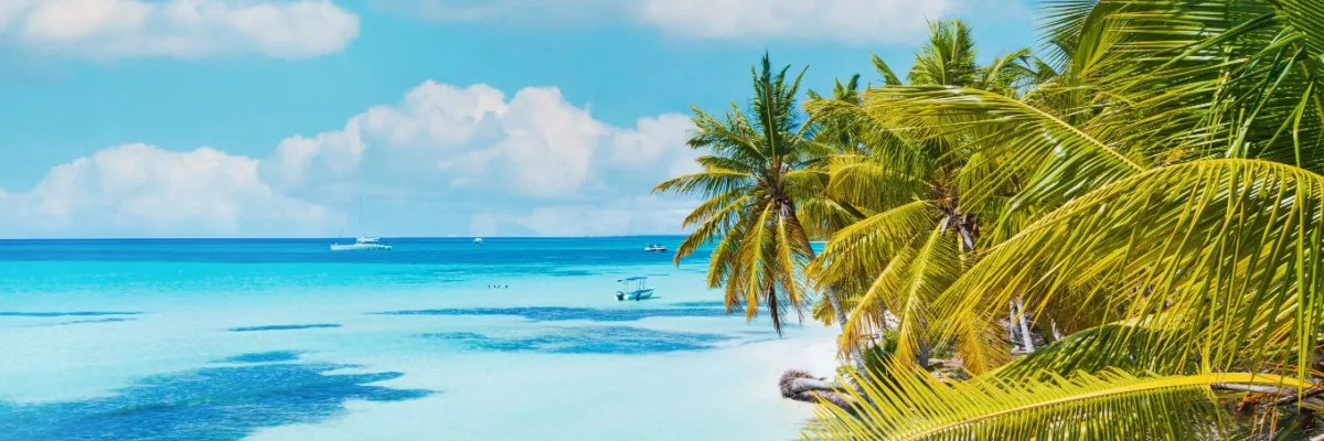 Palmen am Strand bei La Romana in der Dominikanischen Republik. Links das türkisblaue Wasser des karibischen Meeres.