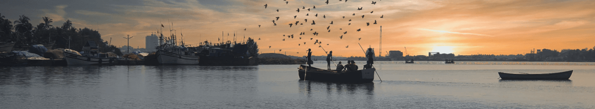 Auf dem Wasser fährt ein kleines Boot. Diese fährt in den Sonnenuntergang und wird von einem Schwarm Vögel begleitet. Links im Bild sieht man Teile des Landes