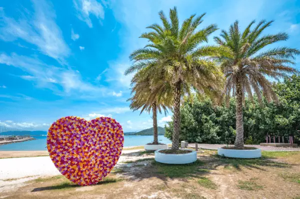 großes Blumenherz neben zwei Palmen an Küste von Sanya