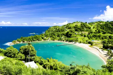Paradies unter Palmen an kristallklarem Meer in Tobago.