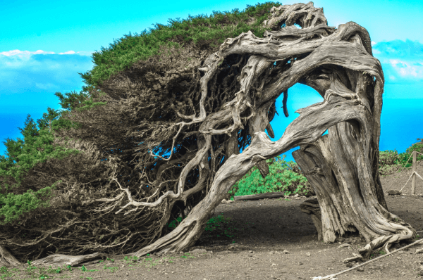 El Hierro Ein echter Geheimtipp auf den Kanaren