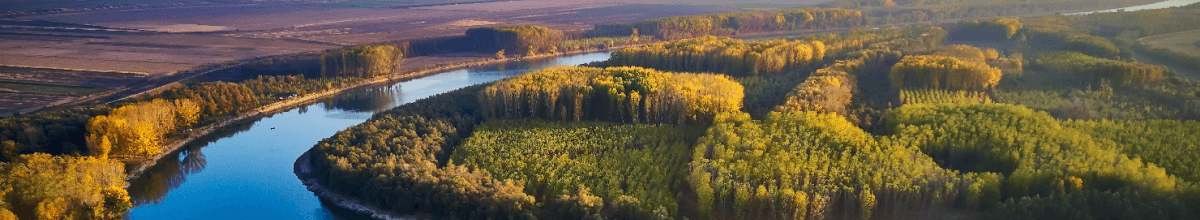 Die Donau schlängelt sich durch einen herbstlichen Wald.