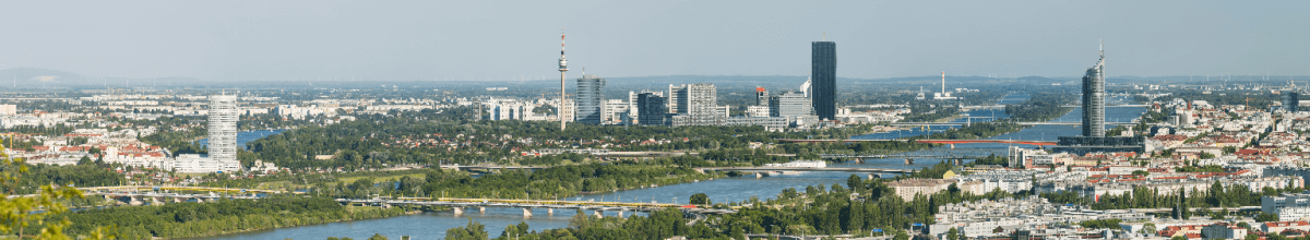 Blick über die Dächer von Wien.
