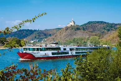 RHEIN MELODIE befährt den Rhein. Der Blickwinkel entsteht durch einen Busch.