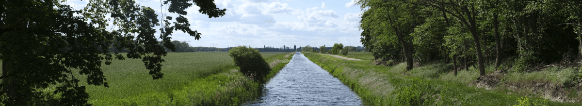 Inmitten der Natur fließt der Havelkanal ruhig durch Felder.