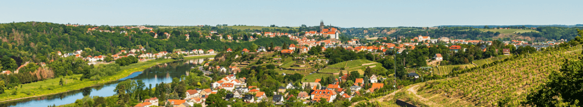 Blick aus der Vogelperspektive auf Grünflächen und kleine Wohnsiedlungen in Meißen.