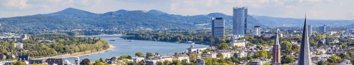 Auf dem Panorama sieht man aus Vogelperspektive den Rhein sowie die Stadt Bonn.