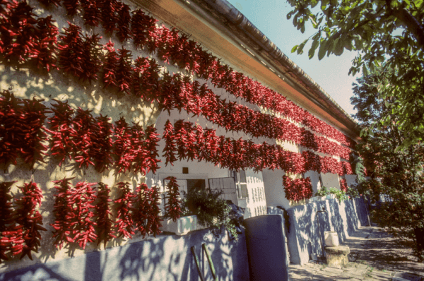 Kalocsa: Ungarns Paprika Metropole