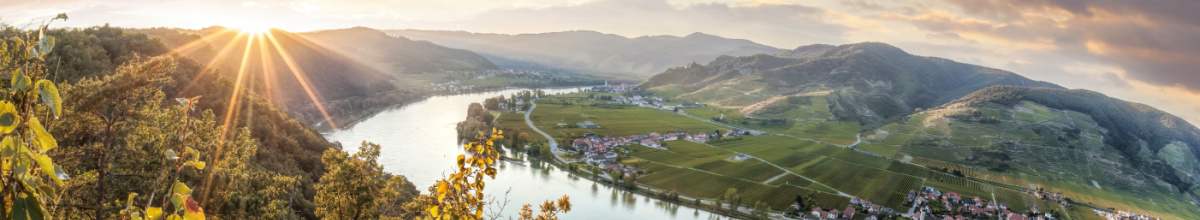 Malerisch schlängelt sich die Donau zwischen Weinbergen und kleinen Städtchen entlang.