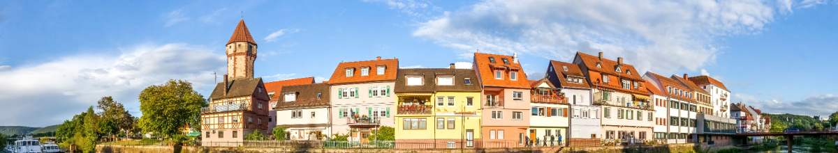 Zu sehen ist ein Panorama der Stadt mit dem spitzen Turm und weiteren Gebäuden.