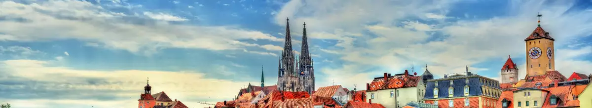 Zu sehen sind die Dächer der Stadt Regensburg.