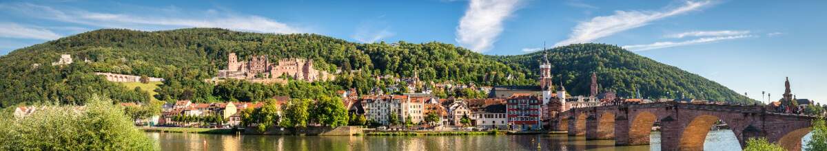 Rechts die Brücke nach Heidelberg. Zentral das Schloss sowie die Natur und links Teile der Stadt.