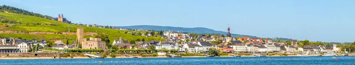 Das Panorama von Rüdesheim bei stahlendem Sonnenschein.