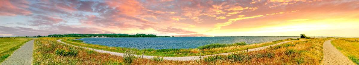 Bei romantischer Atmosphäre erstahlt die Natur der Insel Hiddensee.