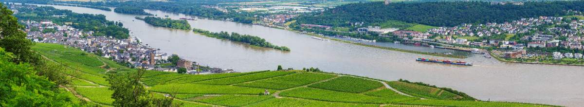 Der Rhein fließt durch die wilde Natur.