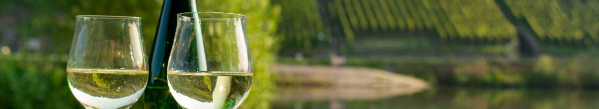 Zwei Gläser Weißwein und eine grüne Flasche Wein stehen links im Bild. Im Hintergrund verlaufen die Weinberge.