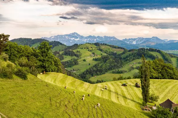 Von oben herab schaut man auf das Neckartal. Man sieht die Natur von Weinbergen, bis hin zu Gebirgen.