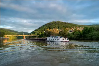 Über den Fluss Neckar fährt ein Flussfahrtschiff. Dieses fährt am Ufer von Eberbach vorbei.