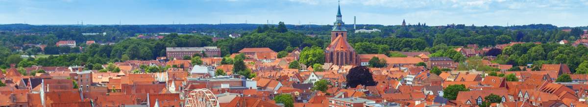 Ein Panorama, welches die Dächer dr Stadt Lüneburg einfängt.