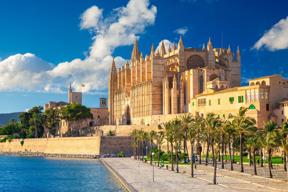 Die gotische Kathedrale La Seu in Palma in seitlicher Ansicht mit dem berühmten Rosettenfenster. Im Vordergrund einige Palmen im Parc del Mar.